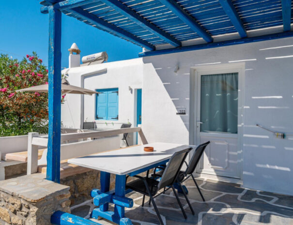 WhatsApp Image 2026-01-08 at 10.55.58 (2)