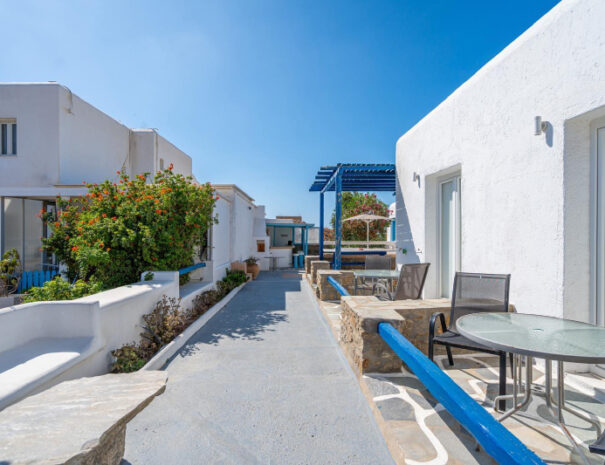 WhatsApp Image 2026-01-08 at 10.55.59 (4)