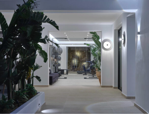 WhatsApp Image 2026-01-09 at 14.48.50